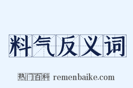 料气反义词是什么意思的图片
